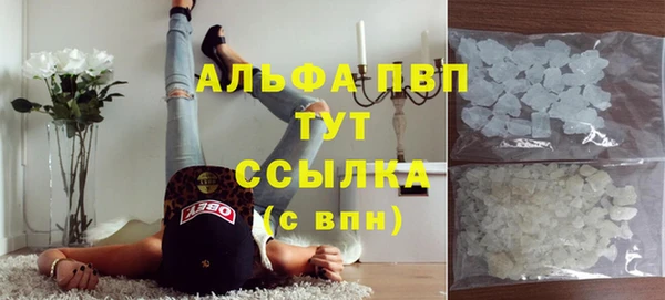 СК Волоколамск