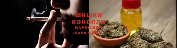 СК Волоколамск