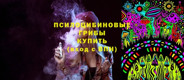 СК Волоколамск