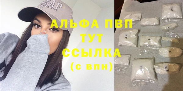 СК Волоколамск